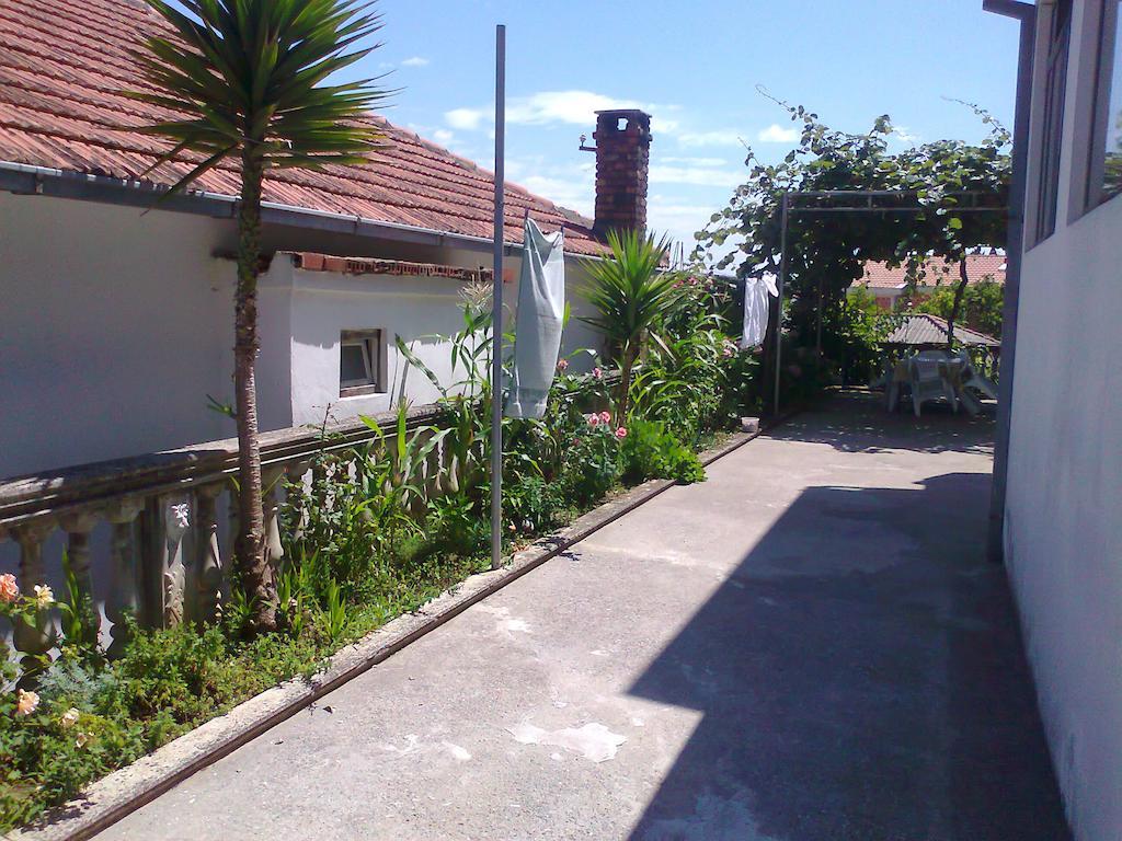 Guesthouse Sinani 울친 외부 사진